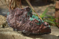 Natural Drusy Coated Ball Malachite On Dolomite Specimen  x 1 From Likasi, Congo