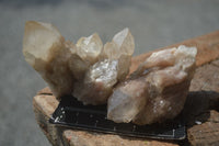 Natural Cascading White Phantom Smokey Quartz Clusters  x 12 From Luena, Congo - Toprock Gemstones and Minerals 