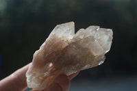 Natural Cascading White Phantom Smokey Quartz Clusters  x 12 From Luena, Congo - Toprock Gemstones and Minerals 