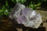 Natural Jacaranda Amethyst Clusters  x 2 From Zambia - Toprock Gemstones and Minerals 