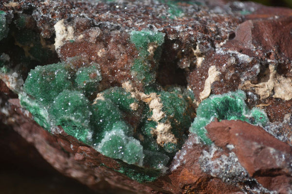 Natural Drusy Coated Ball Malachite On Dolomite Specimen  x 1 From Likasi, Congo