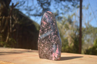 Polished  Pink & Black Rhodonite Standing Free Form x 1 From Madagascar