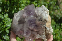 Natural Jacaranda Amethyst Clusters  x 2 From Zambia - Toprock Gemstones and Minerals 