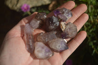 Natural Smokey Window Amethyst Crystals  x 35 From Chiredzi, Zimbabwe