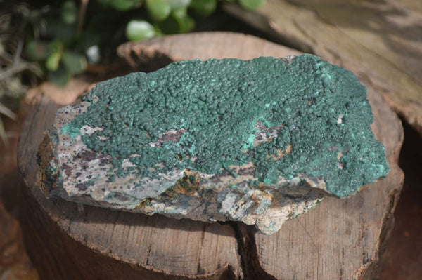 Natural Micro Botryoidal Crystalline Malachite Specimens  x 3 From Congo