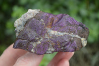 Natural Metallic Purpurite Cobbed Specimens  x 6 From Erongo, Namibia - Toprock Gemstones and Minerals 