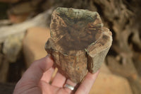 Polished Petrified Wood Branch Pieces x 2 From Gokwe, Zimbabwe