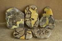 Polished Septarian (Calcite & Aragonite) Slices x 6 From Madagascar - TopRock