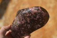 Polished  Pink & Black Rhodonite Standing Free Form x 1 From Madagascar