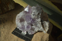 Natural Jacaranda Amethyst Clusters  x 2 From Zambia - Toprock Gemstones and Minerals 