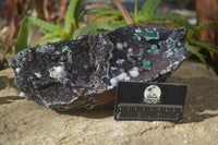 Natural Drusy Coated Ball Malachite On Dolomite Specimen  x 1 From Likasi, Congo