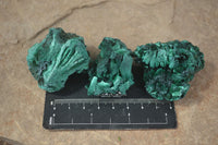 Natural Chatoyant Silky Malachite Specimens  x 12 From Kasompe, Congo - Toprock Gemstones and Minerals 