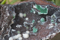 Natural Drusy Coated Ball Malachite On Dolomite Specimen  x 1 From Likasi, Congo