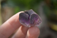 Natural Smokey Window Amethyst Crystals  x 35 From Chiredzi, Zimbabwe