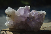 Natural Jacaranda Amethyst Clusters  x 2 From Zambia - Toprock Gemstones and Minerals 