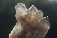 Natural Cascading White Phantom Smokey Quartz Clusters  x 12 From Luena, Congo - Toprock Gemstones and Minerals 