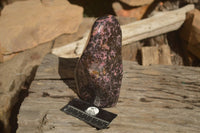 Polished  Pink & Black Rhodonite Standing Free Form x 1 From Madagascar