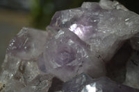 Natural Jacaranda Amethyst Clusters  x 2 From Zambia - Toprock Gemstones and Minerals 