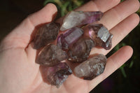 Natural Small Amethyst Window Quartz Crystals  x 35 From Chiredzi, Zimbabwe