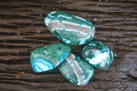 Polished Gorgeous Patterned Malacholla Free Forms  x 4 From Congo - Toprock Gemstones and Minerals 