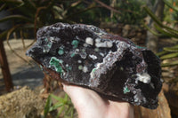 Natural Drusy Coated Ball Malachite On Dolomite Specimen  x 1 From Likasi, Congo