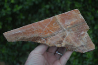 Natural New Sunset Orange Calcite Specimens  x 3 From Spitzkop, Namibia