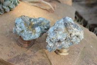 Natural Blue Kyanite Crystals In Mica & Quartz Matrix  x 4 From Zimbabwe - TopRock