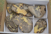 Polished Septerye Free Form Slices   x 6 From Madagascar - Toprock Gemstones and Minerals 