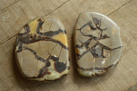 Polished Septarian (Calcite & Aragonite) Slices x 6 From Madagascar - TopRock