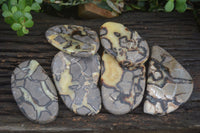 Polished Septerye Free Form Slices   x 6 From Madagascar - Toprock Gemstones and Minerals 