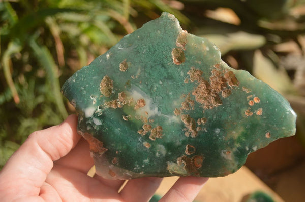 Polished On One Side Emerald Mtorolite Plates x 3 From Mutorashanga, Zimbabwe