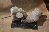 Natural Spirit Quartz Clusters x 9 From Boekenhouthoek, South Africa