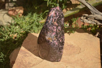 Polished  Pink & Black Rhodonite Standing Free Form x 1 From Madagascar