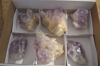 Natural Jacaranda Amethyst Crystals x 6 From Mumbwe, Zambia