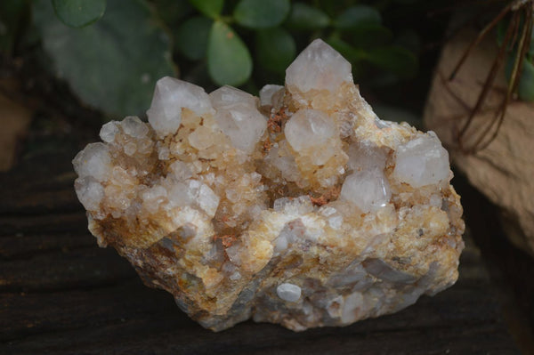 Natural Spirit Quartz Clusters x 9 From Boekenhouthoek, South Africa