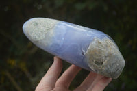 Polished Blue Lace Agate Standing Free Form  x 1 From Nsanje, Malawi - Toprock Gemstones and Minerals 