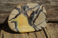 Polished Septarian (Calcite & Aragonite) Slices x 6 From Madagascar - TopRock