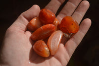 Polished  Carnelian Agate Tumble Stones  x 1 Kg Lot From Madagascar