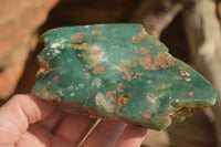 Polished  One Side Polished Emerald Mtorolite Plates  x 3 From Zimbabwe