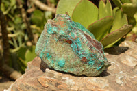 Natural Rough Blue Shattuckite Specimens  x 3 From Namibia - TopRock