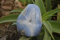 Polished Blue Lace Agate Standing Free Form  x 1 From Nsanje, Malawi - Toprock Gemstones and Minerals 