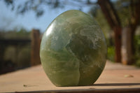 Polished  Green Fluorite Standing Free Forms  x 2 From Madagascar