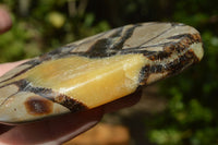 Polished Septarian (Calcite & Aragonite) Slices x 6 From Madagascar - TopRock