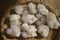 Natural Large White Cactus Flower Spirit Quartz Clusters x 12 From Boekenhouthoek, South Africa