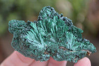 Natural Chatoyant Silky Malachite Specimens  x 12 From Kasompe, Congo - Toprock Gemstones and Minerals 