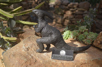 Polished Black Soapstone Dinosaur Carving x 1 From Zimbabwe