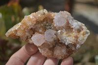 Natural Spirit Quartz Clusters x 9 From Boekenhouthoek, South Africa