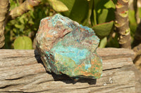 Natural Rough Blue Shattuckite Specimens  x 3 From Namibia - TopRock