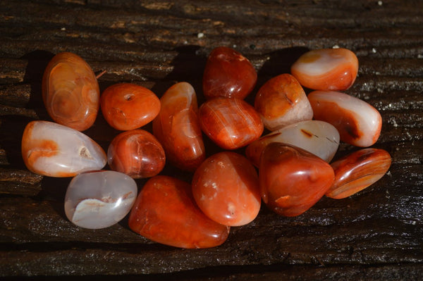 Polished  Carnelian Agate Tumble Stones  x 1 Kg Lot From Madagascar