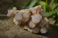 Natural Spirit Quartz Clusters x 9 From Boekenhouthoek, South Africa